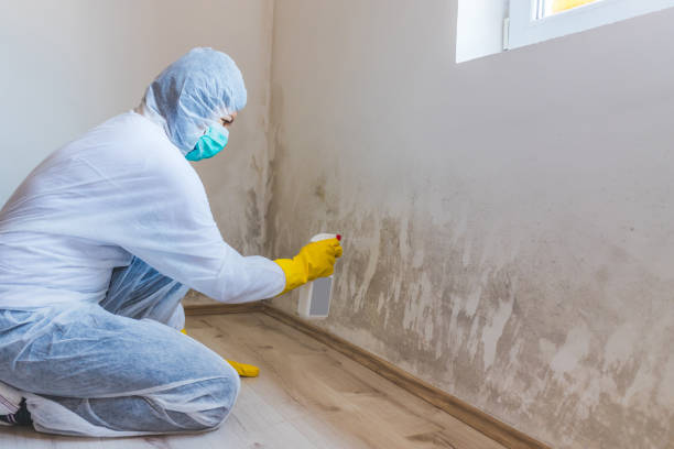 Mold Remediation specialist working in Takoma Park