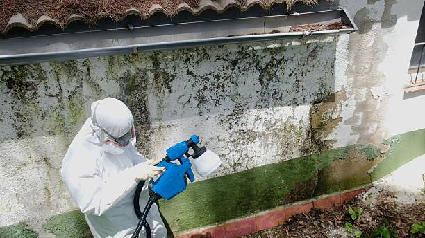Mold Remediation service in Takoma Park, Takoma Park, MD